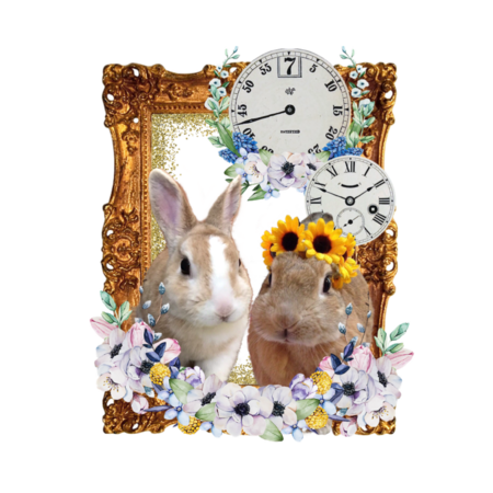 133252b4 6a6d 4411 a390 2daeba51fc1c s