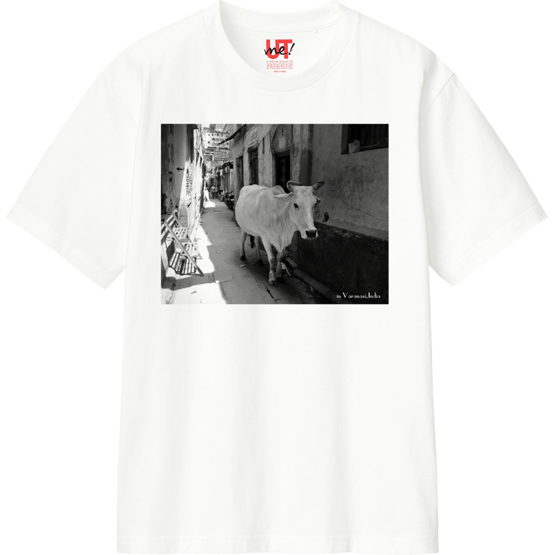 5fa2b675 5311 42c6 a104 d9c235afaa92 110 print ll