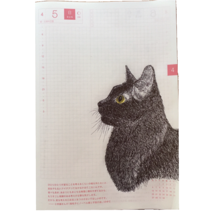 9b28b92a 1784 4be1 9b63 0955d4664a4a s