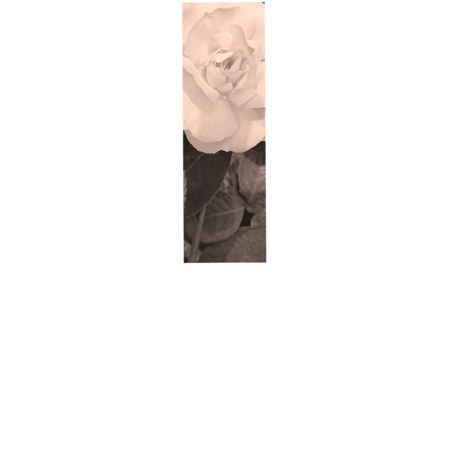 57eda1f9 197d 4617 8c80 588bc8b45791 s