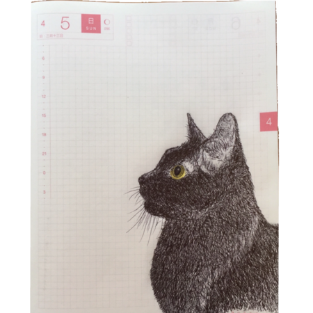 029976bf 49c1 4316 bc33 758ad2528694 s