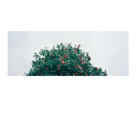 9b7f4415 5e58 41d8 a1d9 809dbefa579f s