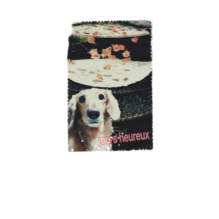 001bf59d 2407 45ec abe5 132f719ae600 s