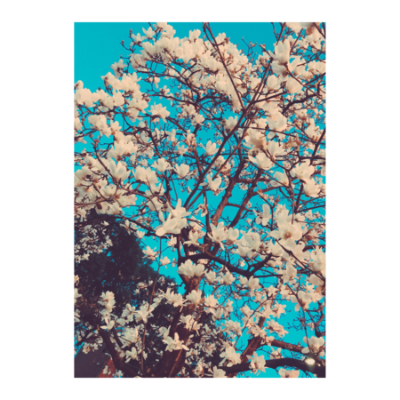 513b7c7d 95fb 4730 b3b8 8dffa5f5769c s