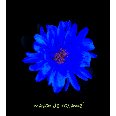 38536ad2 cd31 43c8 b07c 2aa565e69e76 s