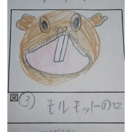 Da1241ab 2f24 4b6c a3f5 9d8d57cfeb64 s