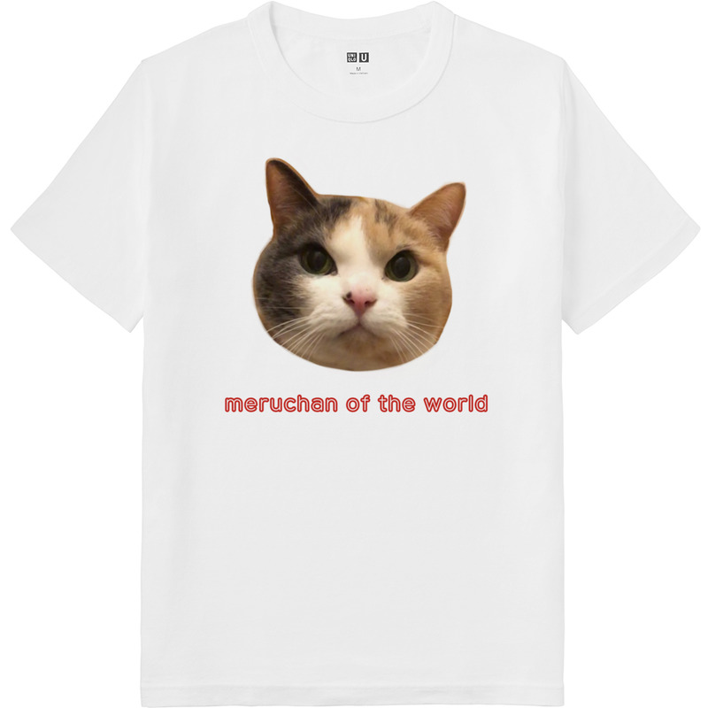 Dec31b2c 6d8e 4d91 954d 3efb07070a6e 64 print ll