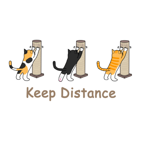 5ceecc1a 8885 4edf ba55 b0cd0d2f699b s