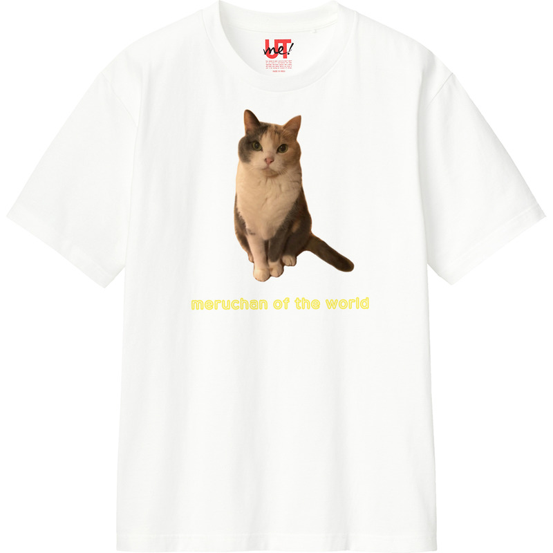 124ba165 ebbb 4d2f 816b 6656f04e2e00 110 print ll