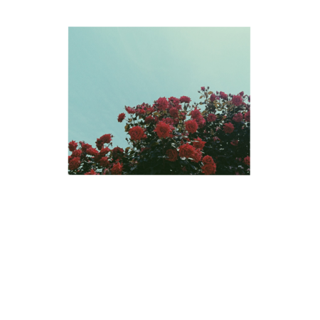 B22e5e9a 24ae 4744 b079 61a030450166 s