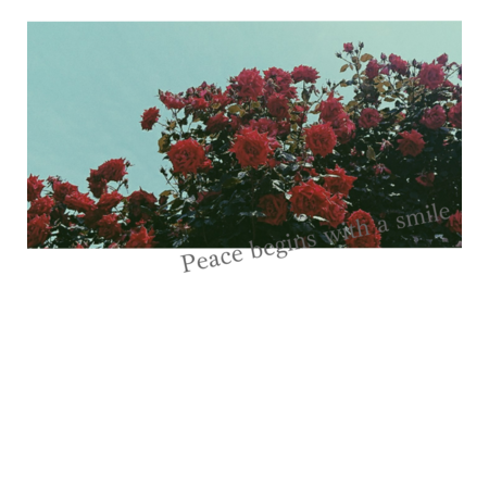 Cbef4dc2 f2c7 43a3 91e3 8f3f88a528d0 s