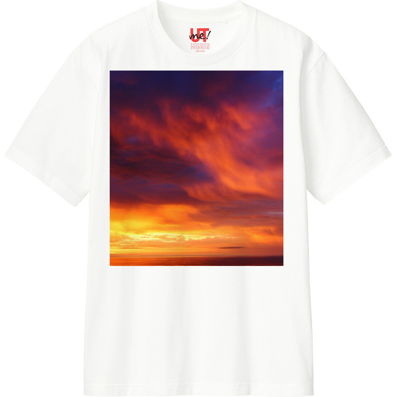 3c230967 7dd1 49ce b6d1 320c50e5ed7c 110 print ll