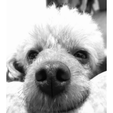 Daacc36c 1238 4adc 8d6c 4514ab0139ba s