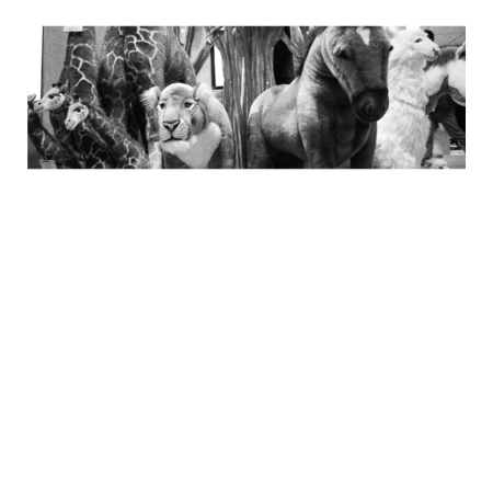 Cd7158ca eb74 4cd9 850f b8bdfbbc8445 s