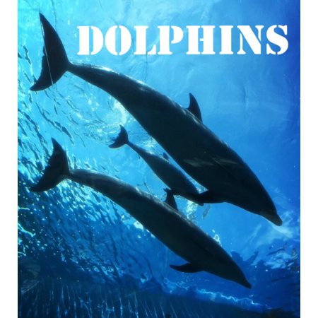 8297a0de 0400 49c1 a462 67b78746d09c s