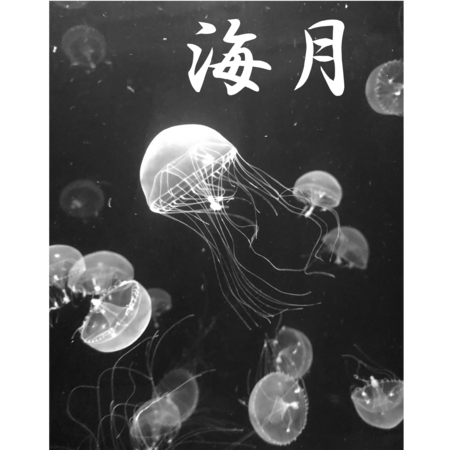 25c994bc f1ef 4992 acf3 75fed7c6addc s