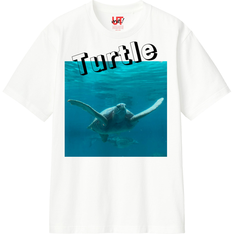 365b3516 e562 4da9 904f ff99f6b8e678 110 print ll