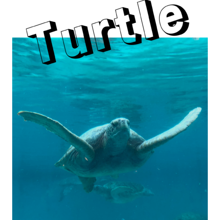 365b3516 e562 4da9 904f ff99f6b8e678 s