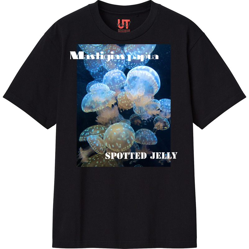 43aadf3c 977a 4008 a702 3fce34644508 111 print ll