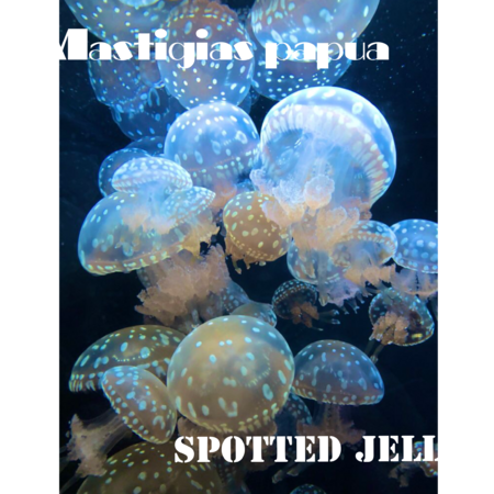 43aadf3c 977a 4008 a702 3fce34644508 s