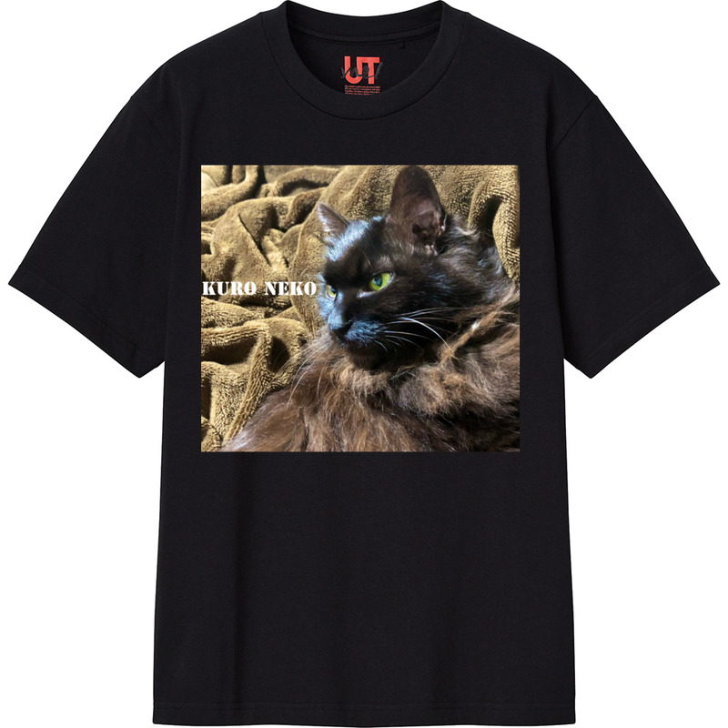 37708553 5ab3 4298 a84e ae93f612da93 111 print ll