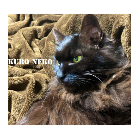 37708553 5ab3 4298 a84e ae93f612da93 s