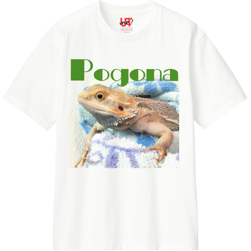 E8f38e2f 74d6 42be 9fd8 d4233cf9a3f8 110 print ll