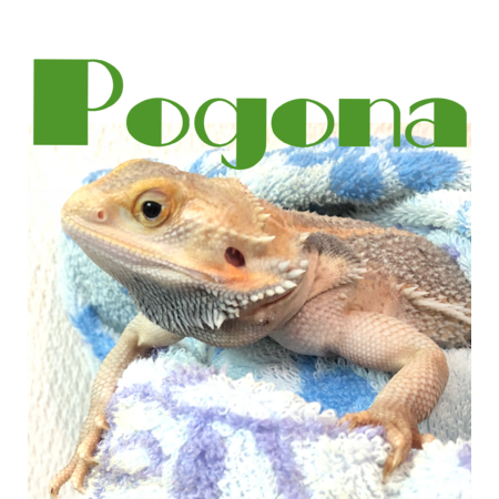 E8f38e2f 74d6 42be 9fd8 d4233cf9a3f8 s