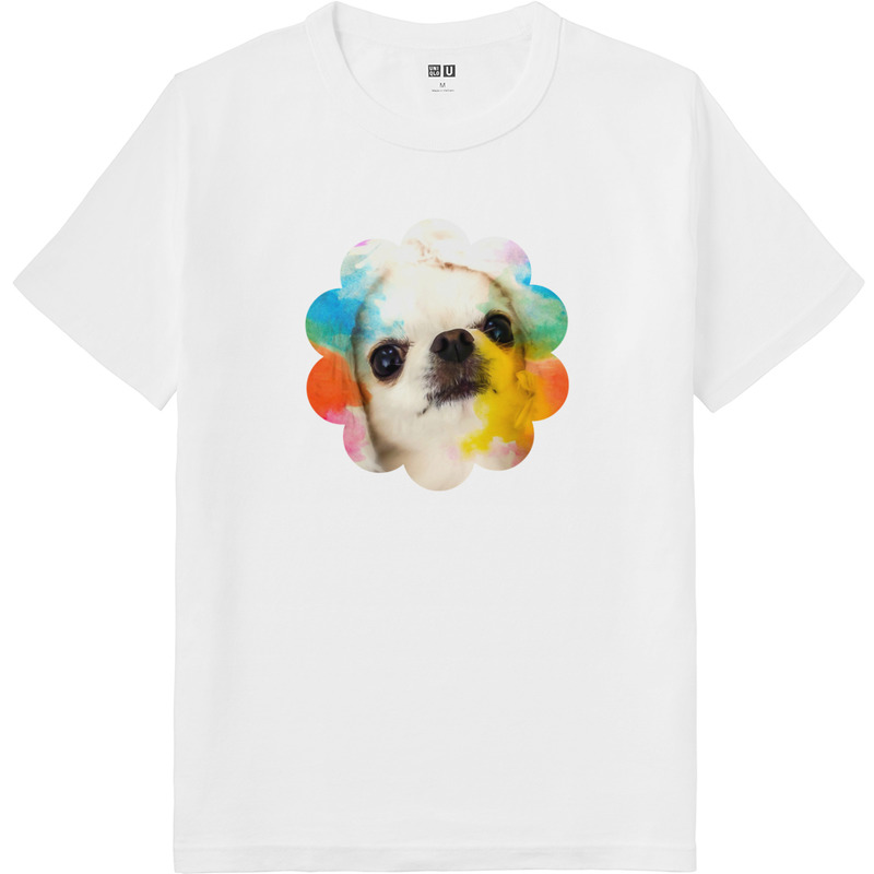 D1931f6f 3e70 490e 97ac a07834ab8f9d 64 print ll