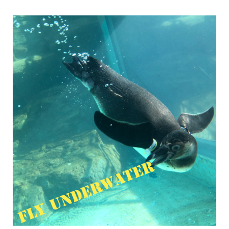 11eb4e22 a466 4584 8472 2b481d9dba2d s