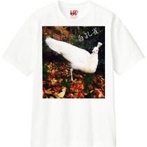 Cac0c10d a25e 49df b0bb 21dff3466836 110 print s