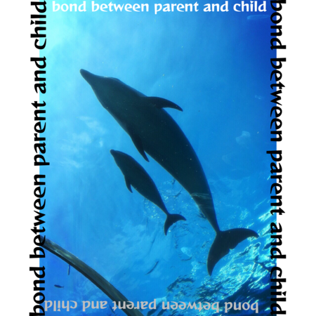 3429d5aa 047c 48b1 94e7 5f10ccaa0fce s