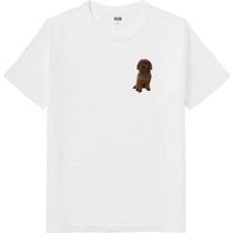 0ccdcd1f 5674 4633 a41c 221d5141920d 64 print s