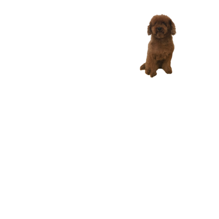 0ccdcd1f 5674 4633 a41c 221d5141920d s