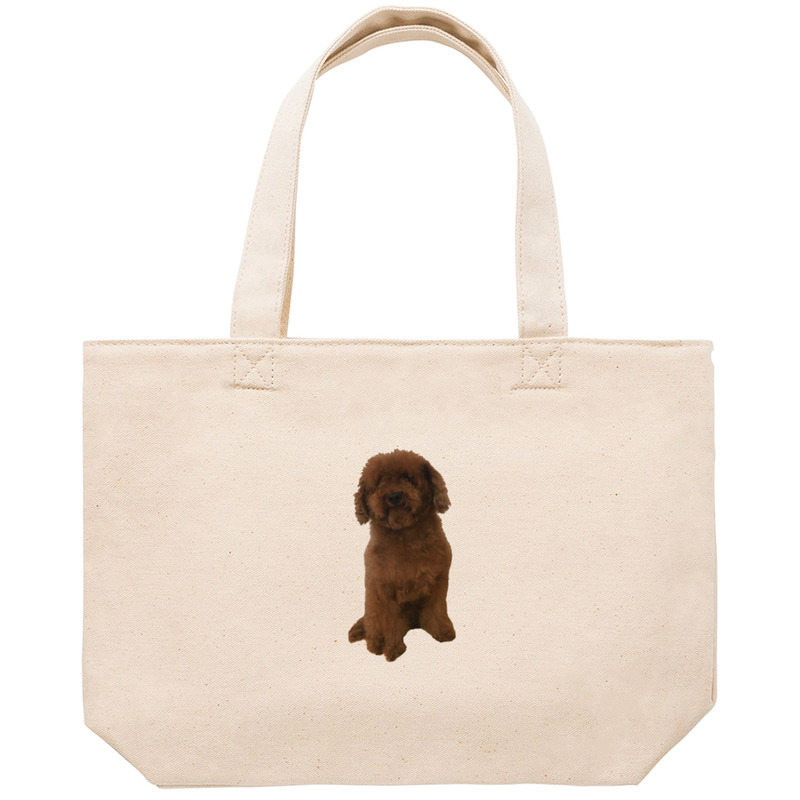 A2691147 fc6d 481d 929a 5693b01b01fd 53 print ll