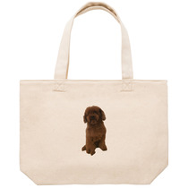 A2691147 fc6d 481d 929a 5693b01b01fd 53 print s