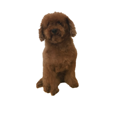 A2691147 fc6d 481d 929a 5693b01b01fd s