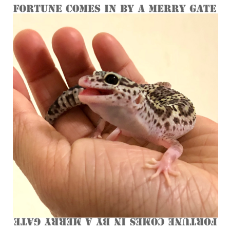 F82528c7 dc04 448a adde 47e77573a27a s