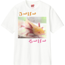 Fc93512a 703e 4641 928f 0af4191b857d 110 print s