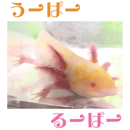 Fc93512a 703e 4641 928f 0af4191b857d s