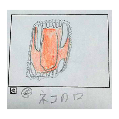 Ba69a407 d65d 457d a655 69a3612653e0 s