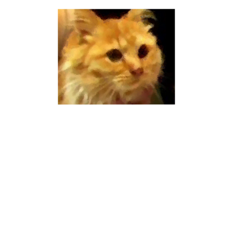 D30cc4cd 9bba 4d57 99de 340d953b262f s