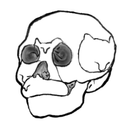 25ded812 d13a 4811 a0a2 3643454f40cd s