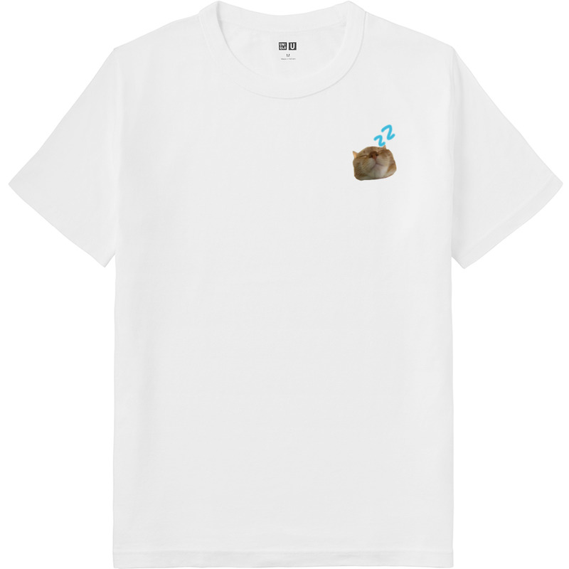 69b760d0 efe7 4733 9607 e64238d5fb25 64 print ll