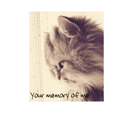 A357e82b 2fb1 43ce a1b5 c75846c83785 s