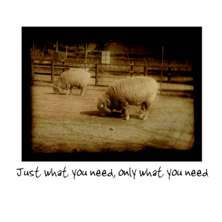 0eb5e99c b67d 40ba b61d 488a0234ec95 s