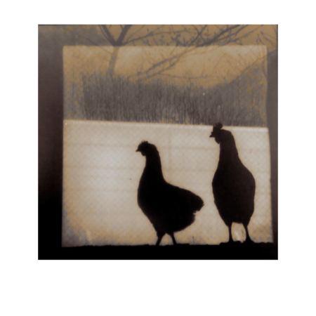 32a92ae3 866c 411a a9ef 5204483fcf6d s