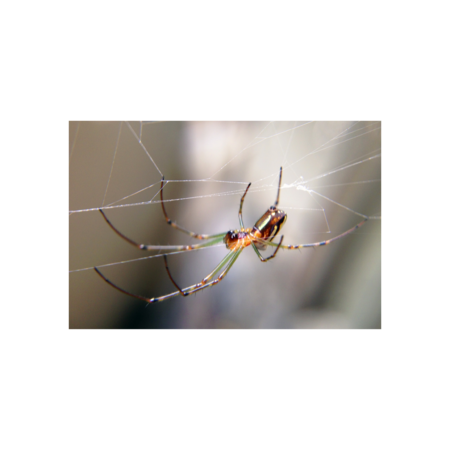 77e3fad0 7dab 47f2 b268 b0b7c216ed90 s