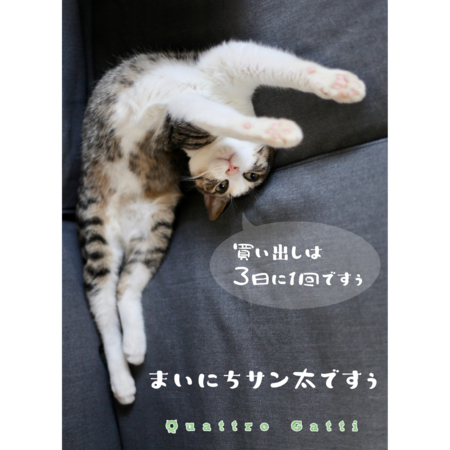 1aa5722c 6df9 4371 8b79 ceda07384e49 s