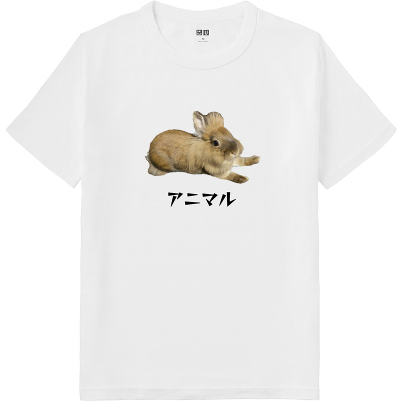 B6eb81b6 a716 4c76 9d39 60a74f425835 64 print ll